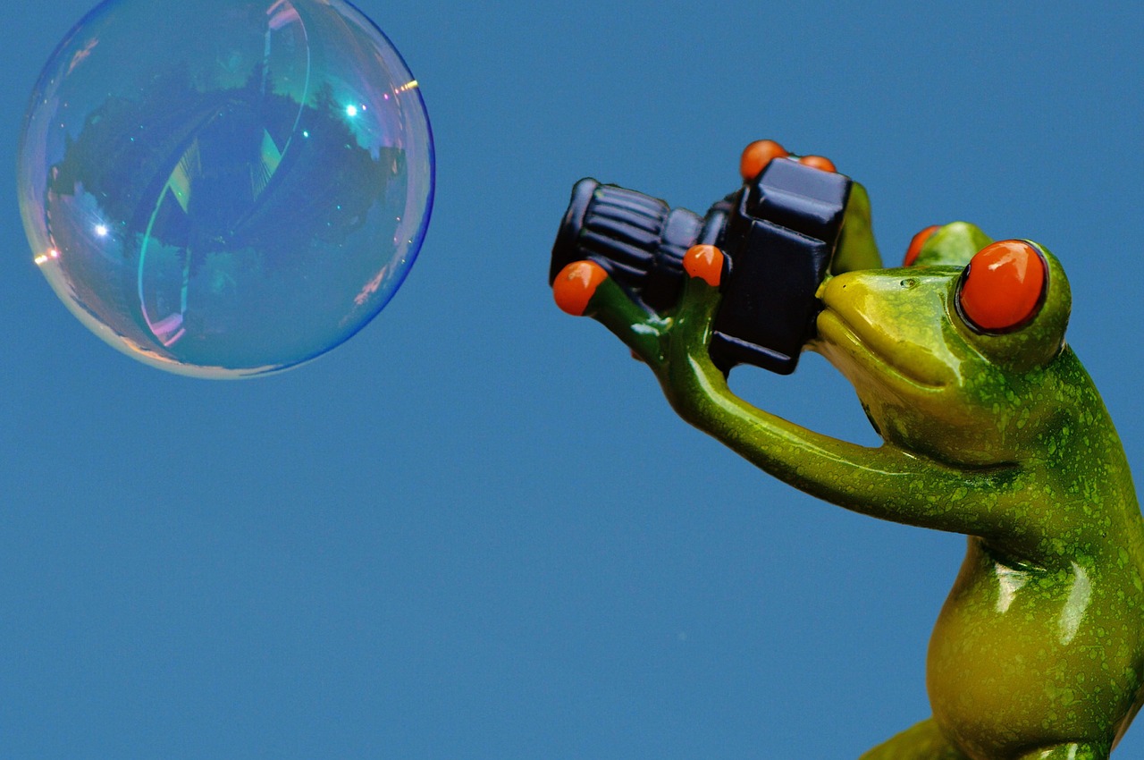 frog photographer soap bubble free photo