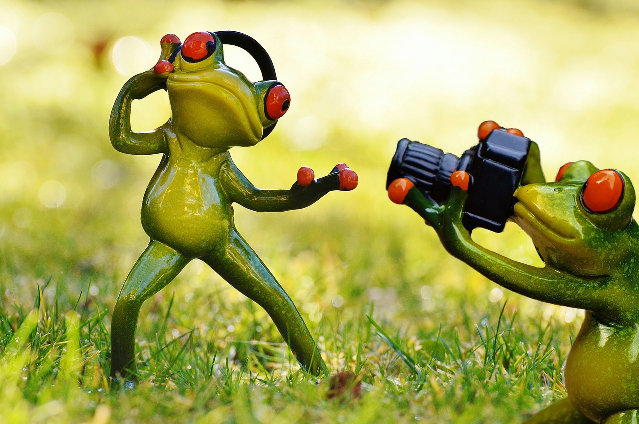 frog photographer headphones free photo