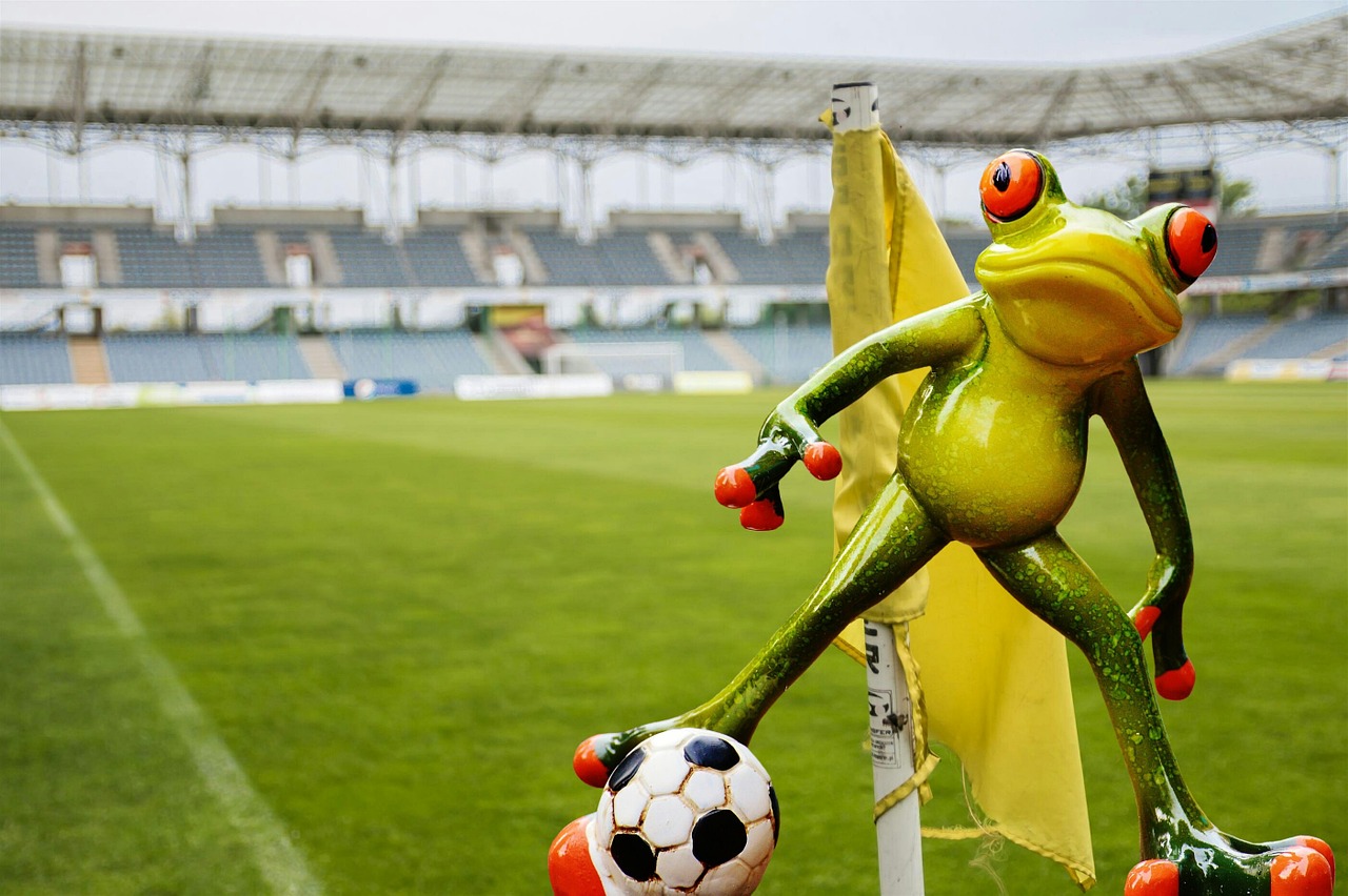 frog football funny free photo