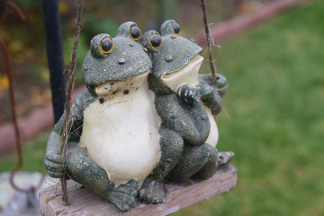 frog swing garden free photo