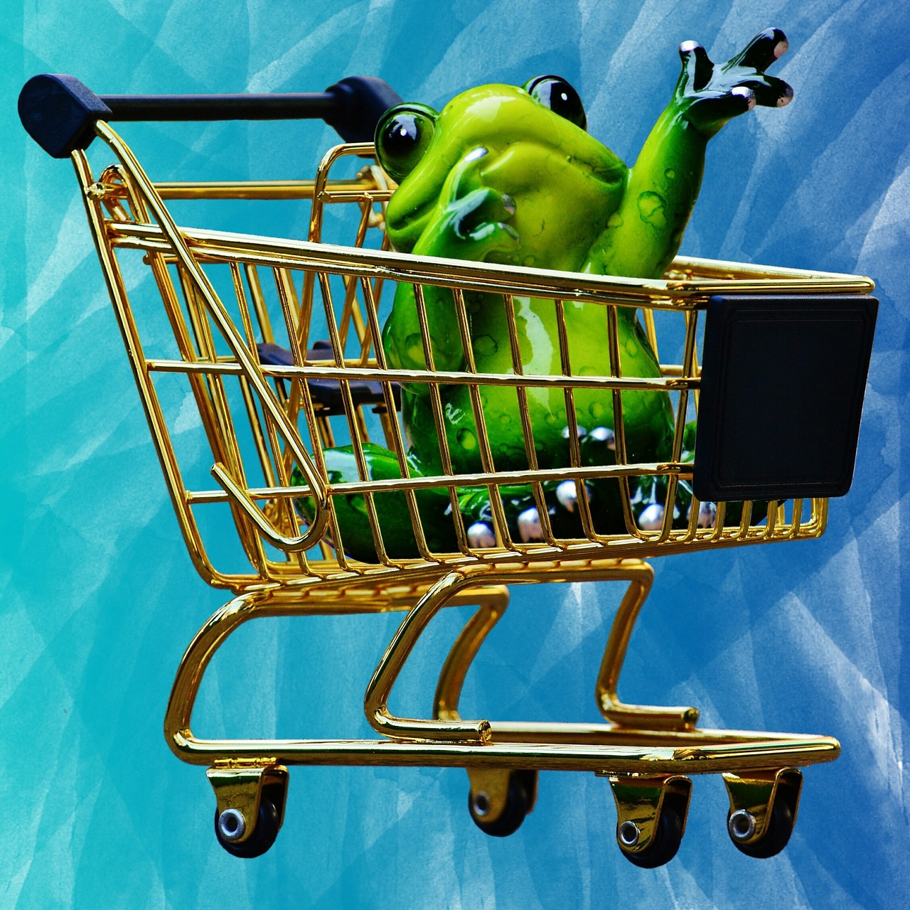 frog wave shopping cart free photo