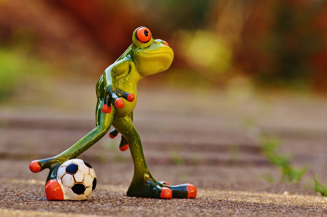 frog football funny free photo