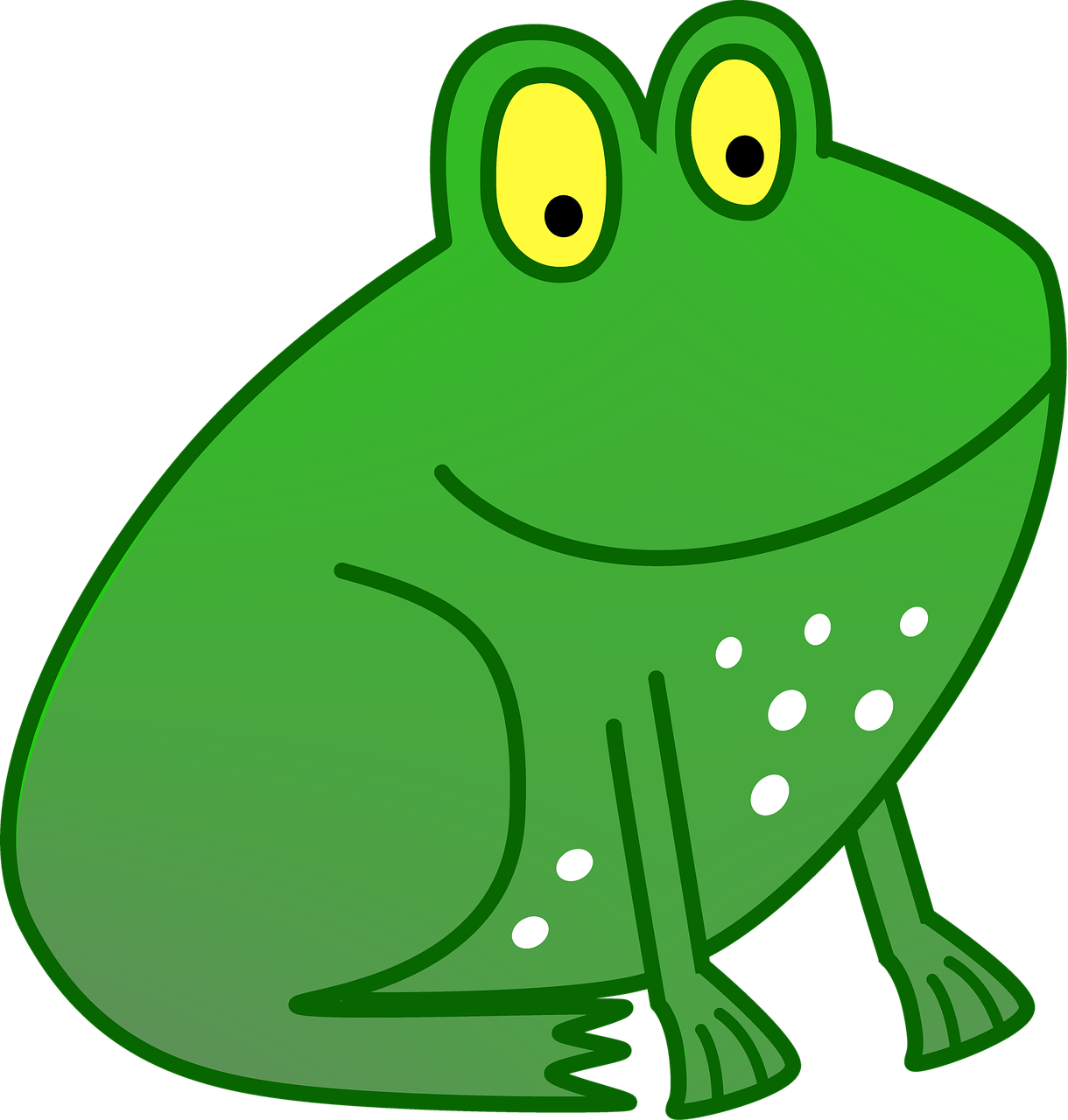 frog amphibian education free photo