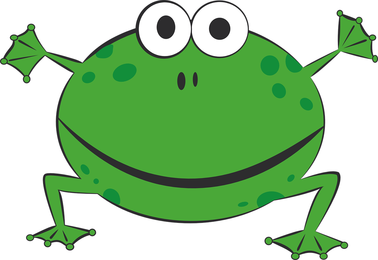 frog green amphibians free photo