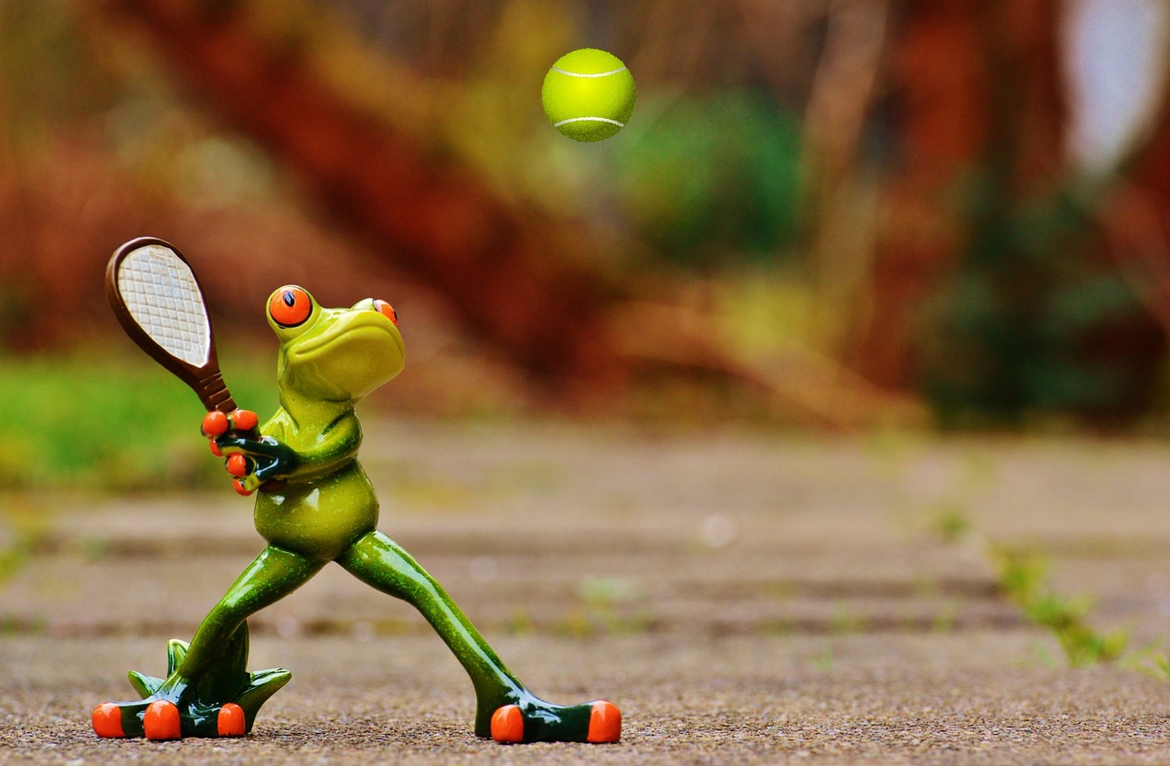 frog tennis funny free photo