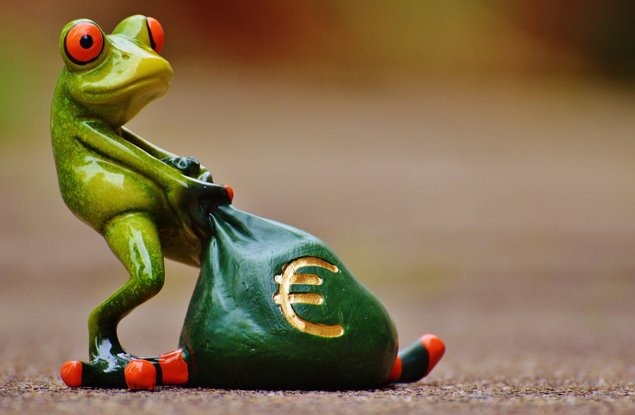 frog money euro free photo