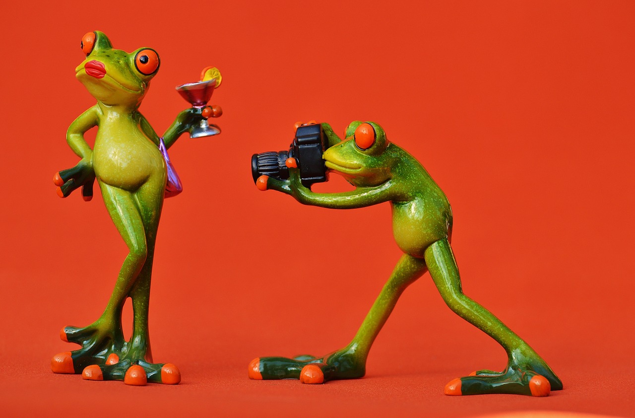 frog photographer model free photo