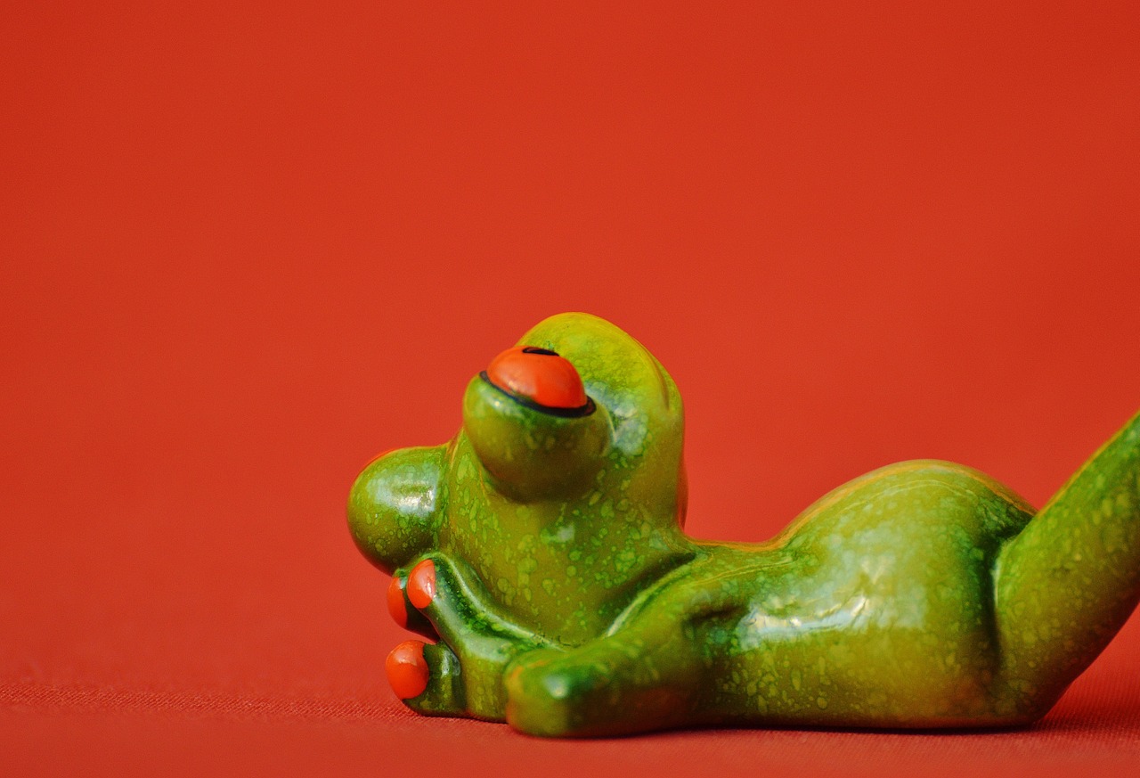 frog lying relaxed free photo