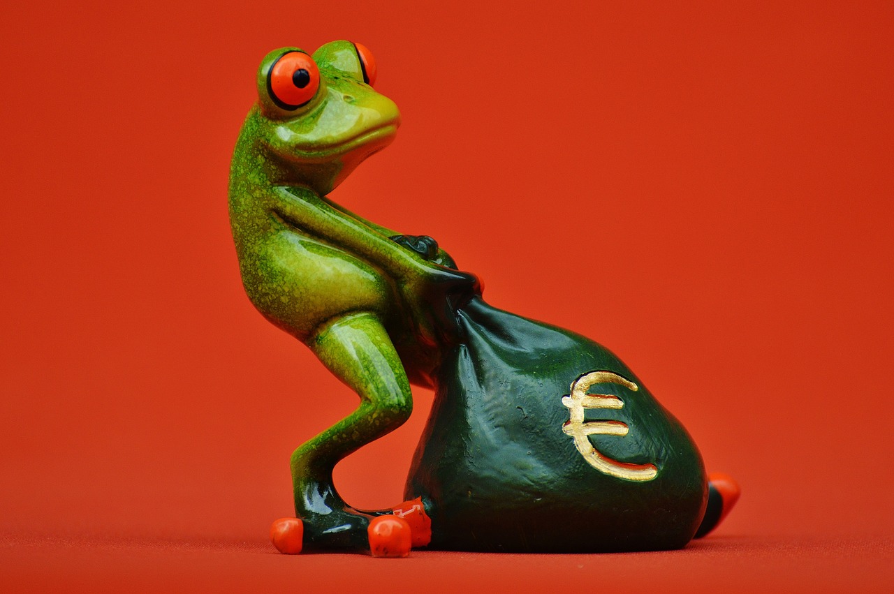 frog money euro free photo