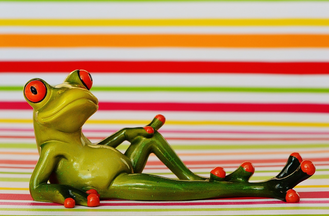 frog lying relaxed free photo