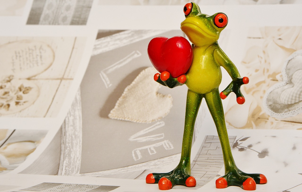 frog love valentine's day free photo