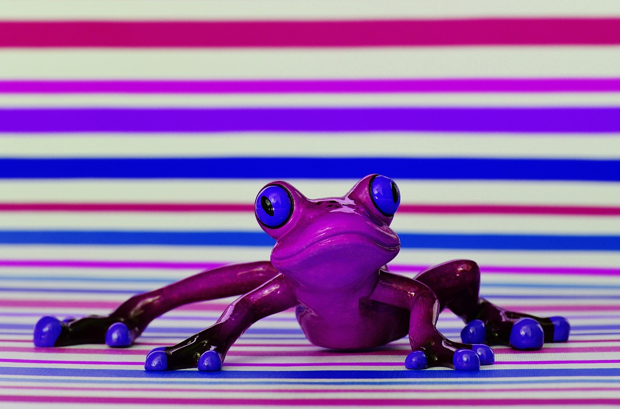 frog funny figure free photo