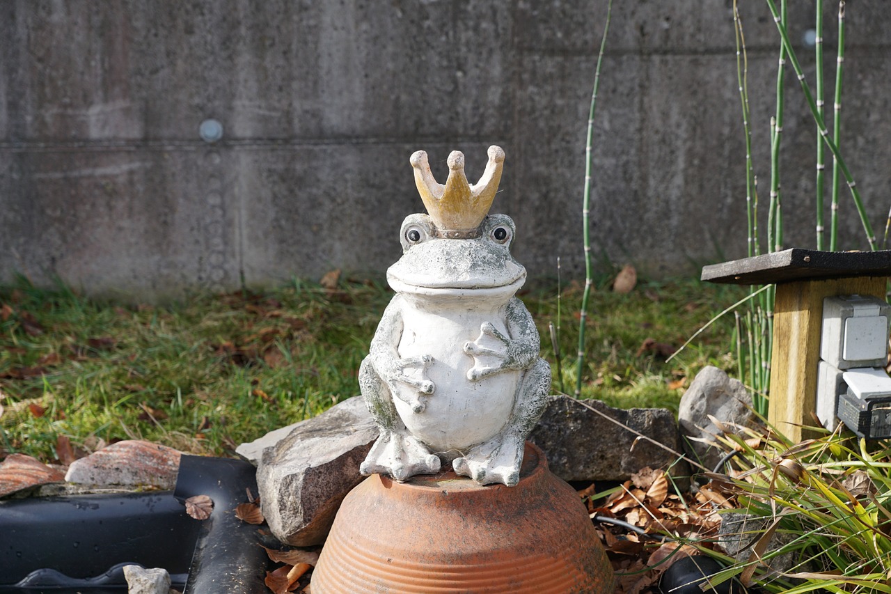 frog king figure free photo