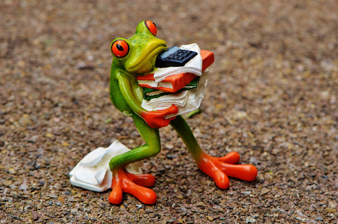 frog figure files free photo