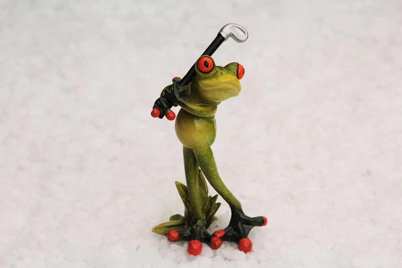 frog golf golf clubs free photo