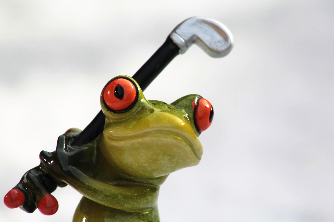 frog golf golf clubs free photo