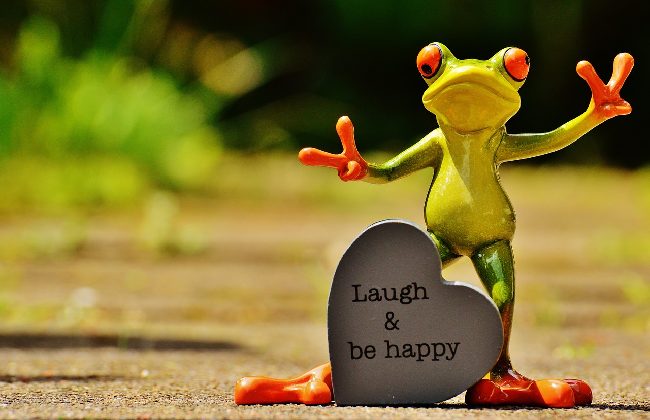 frog funny laugh free photo