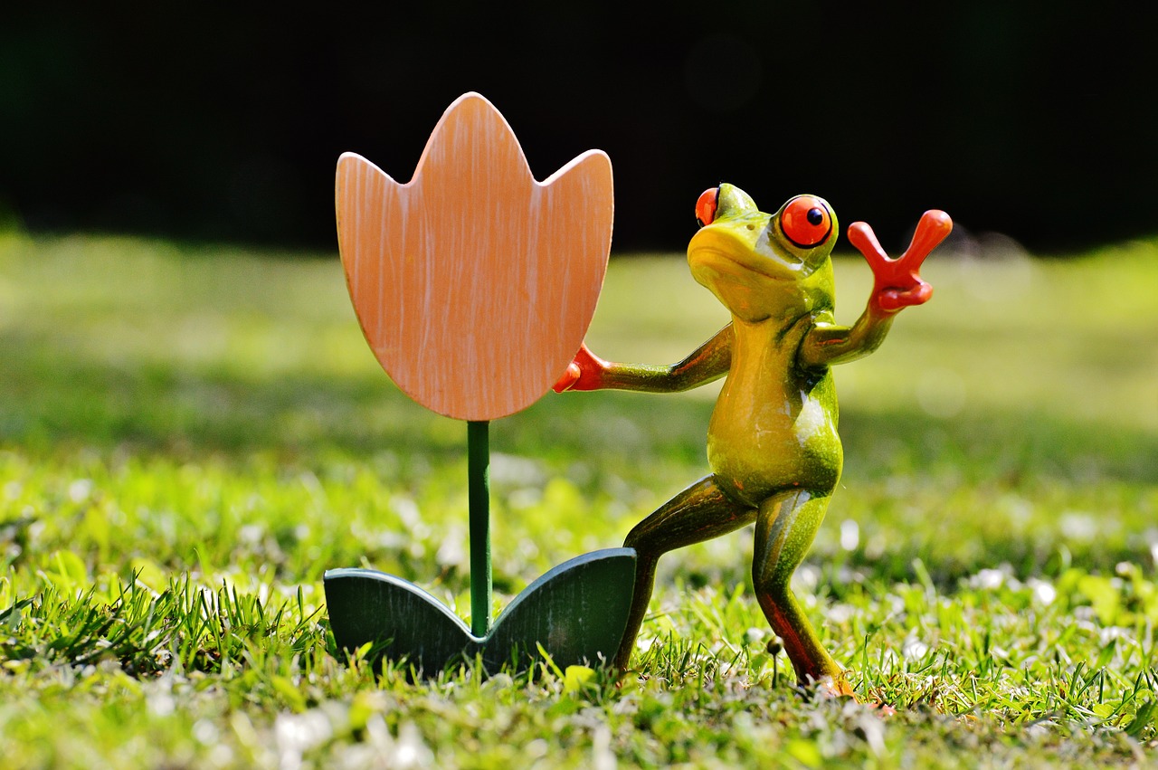 frog flower funny free photo