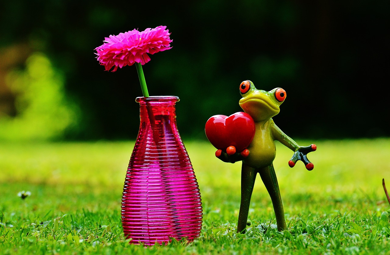 frog love valentine's day free photo