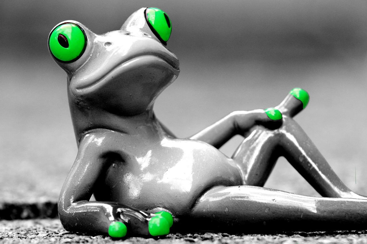 frog relax coziness free photo