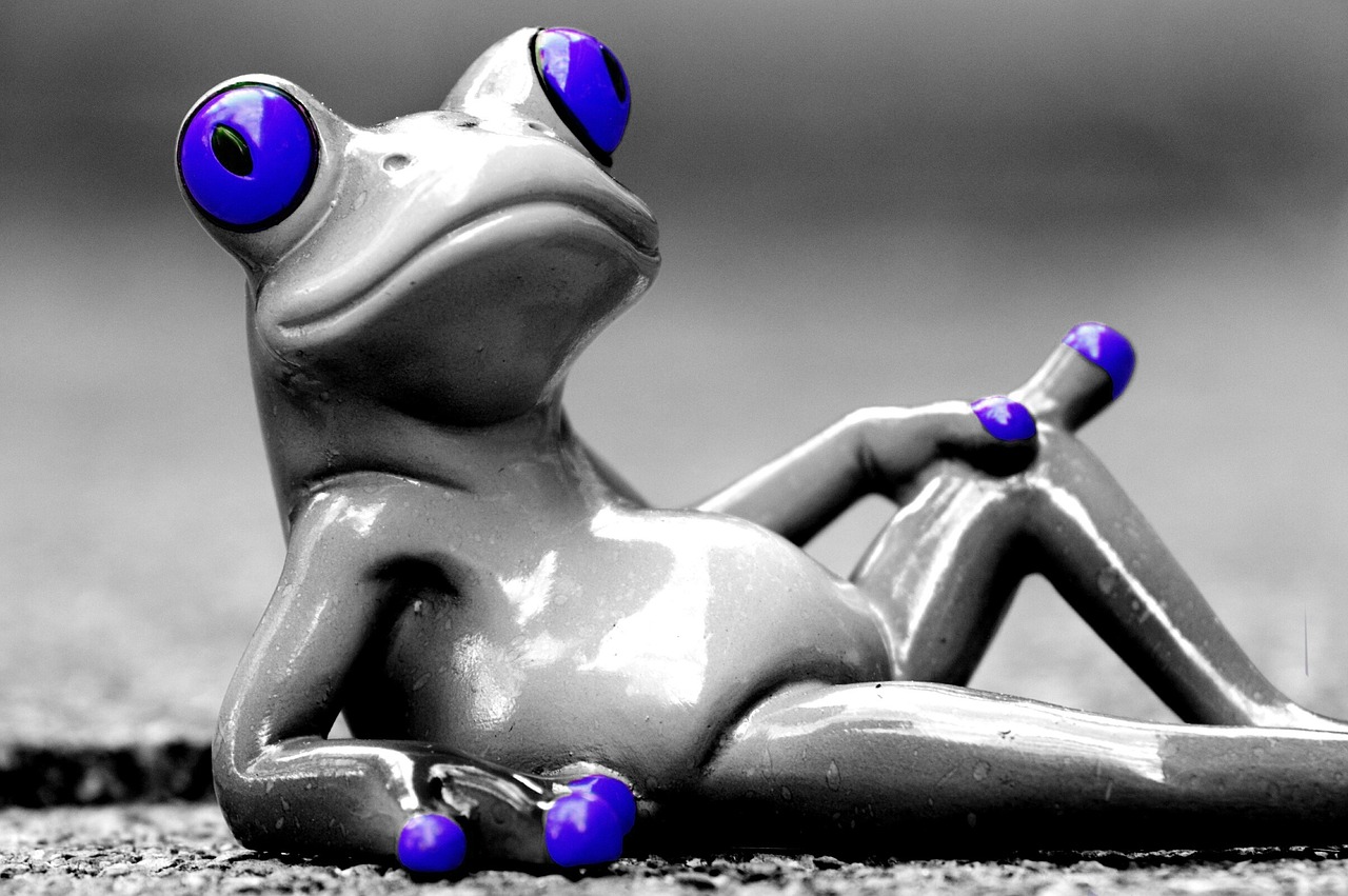 frog relax coziness free photo