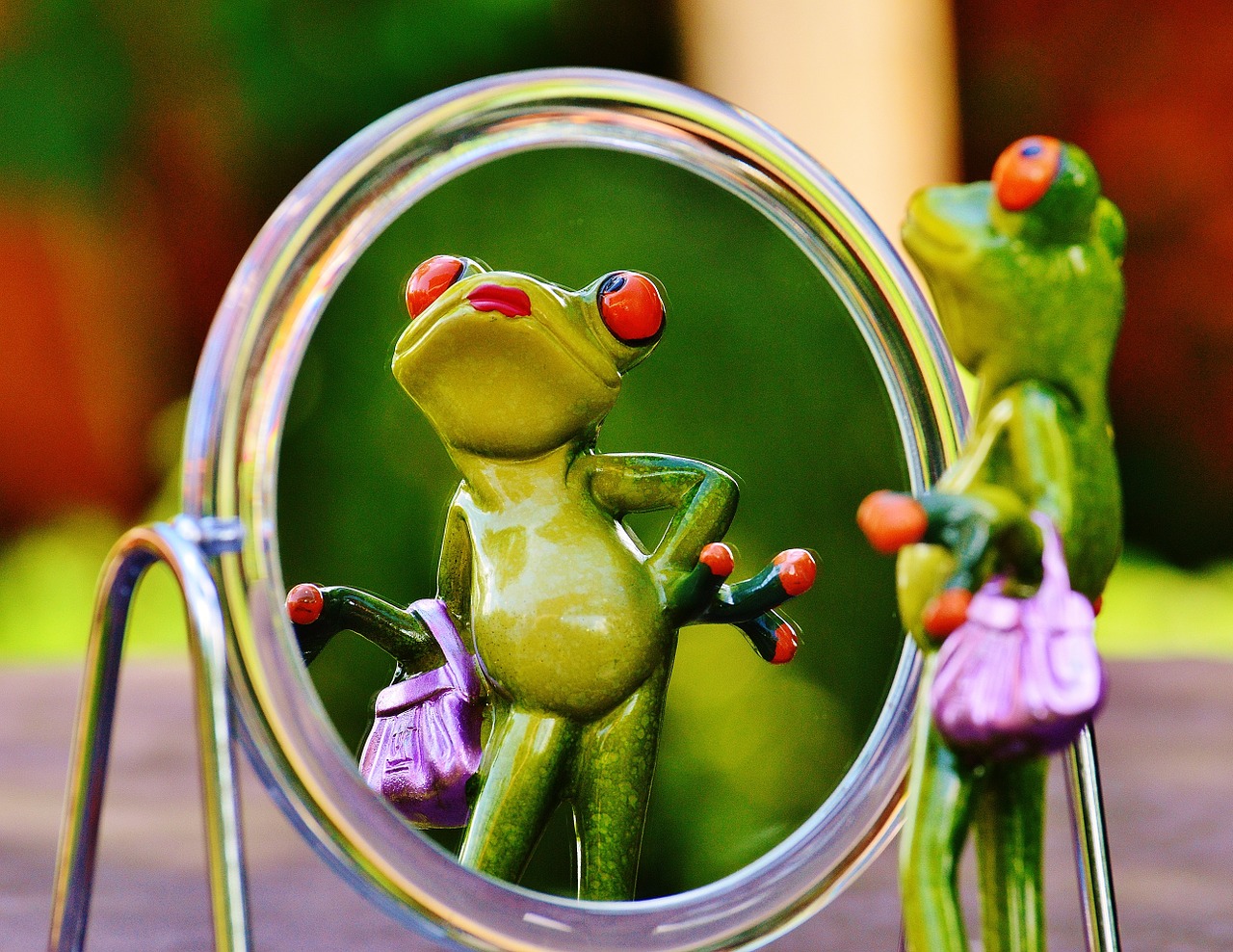 frog mirror mirror image free photo