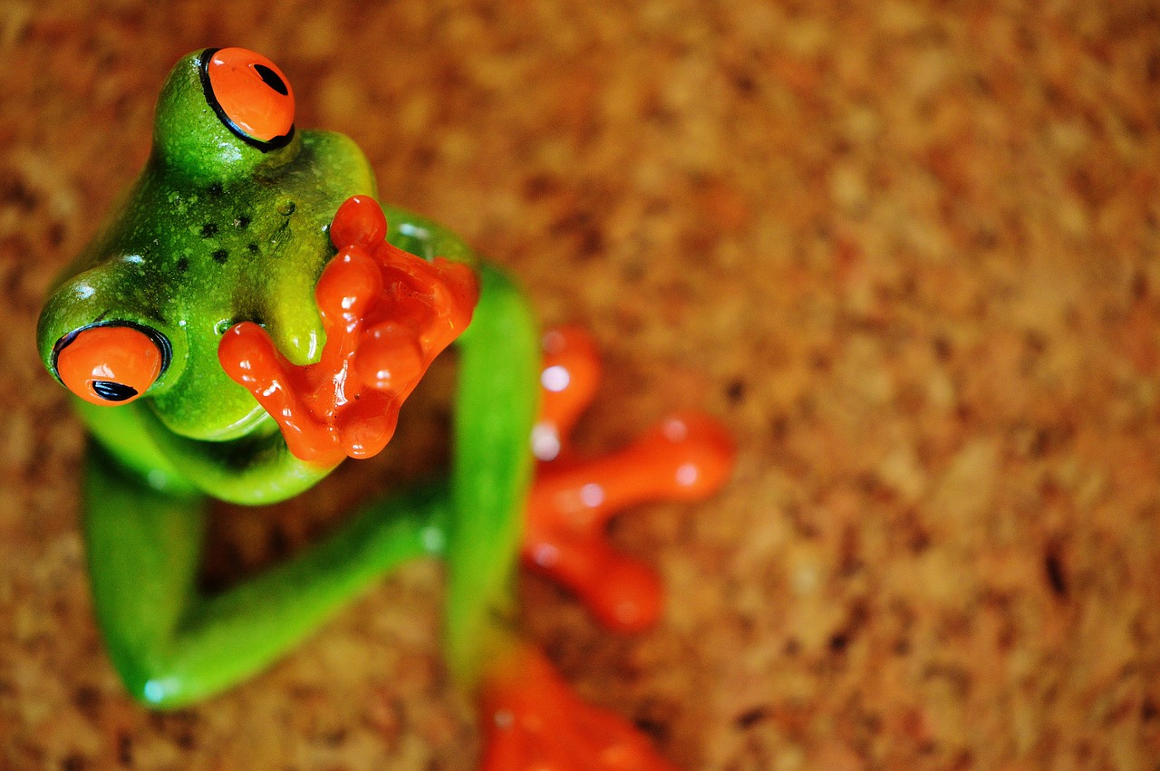 frog funny figure free photo