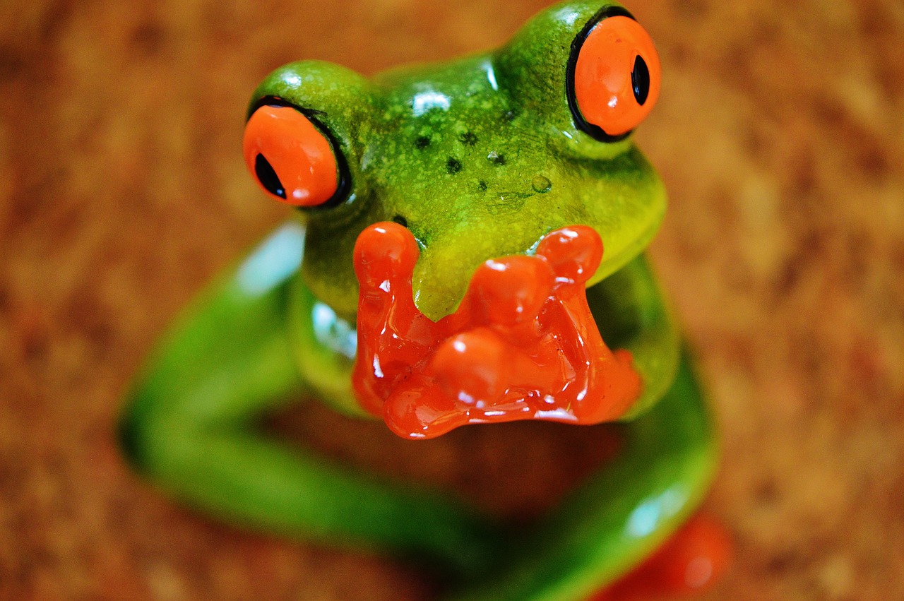 frog funny figure free photo