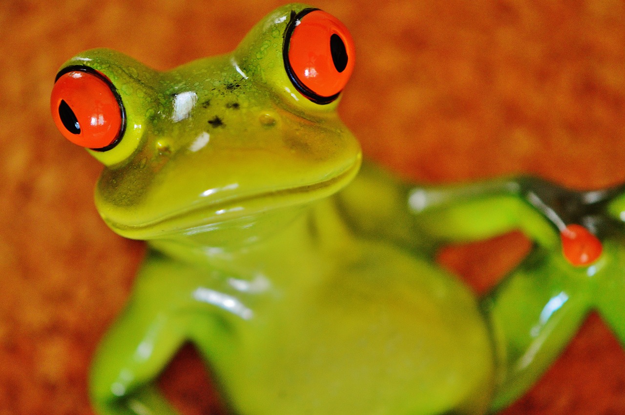 frog funny figure free photo