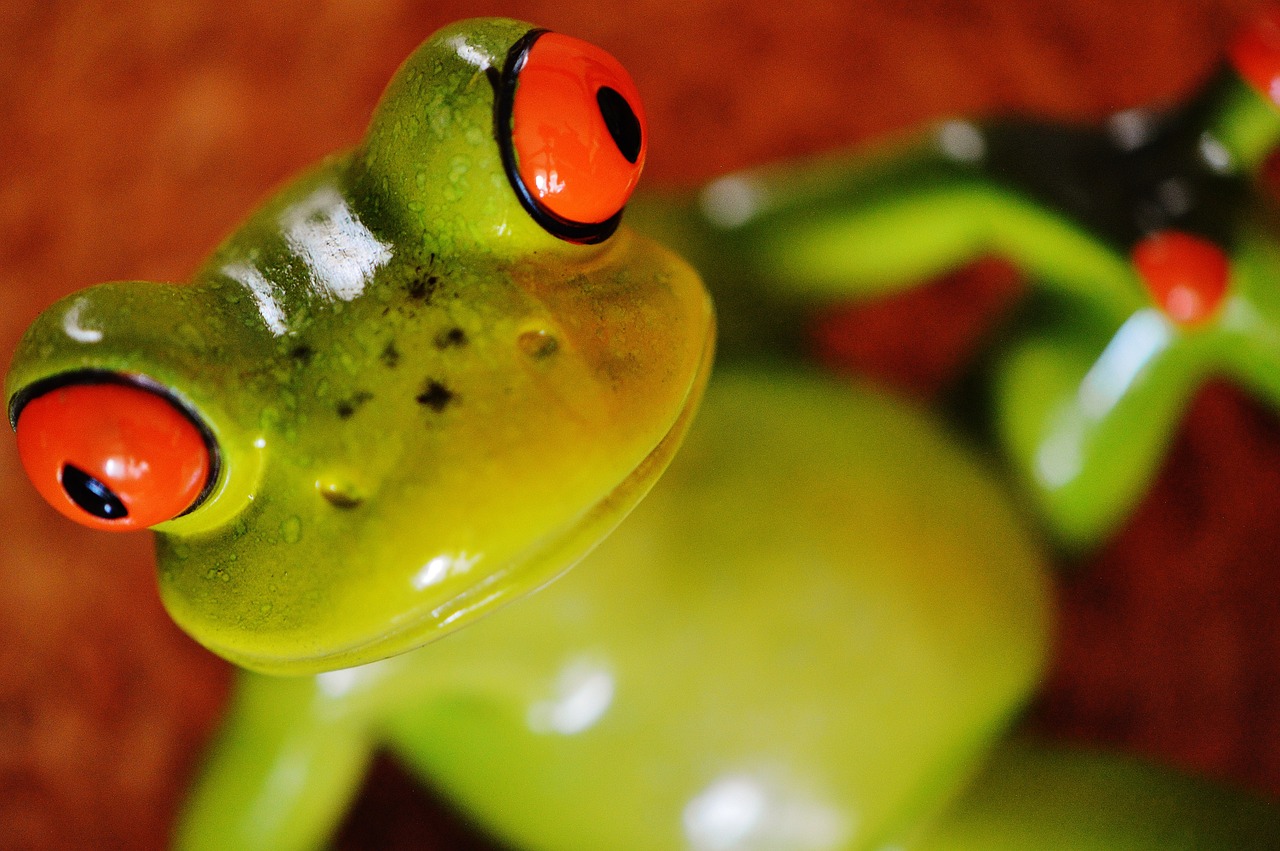 frog funny figure free photo