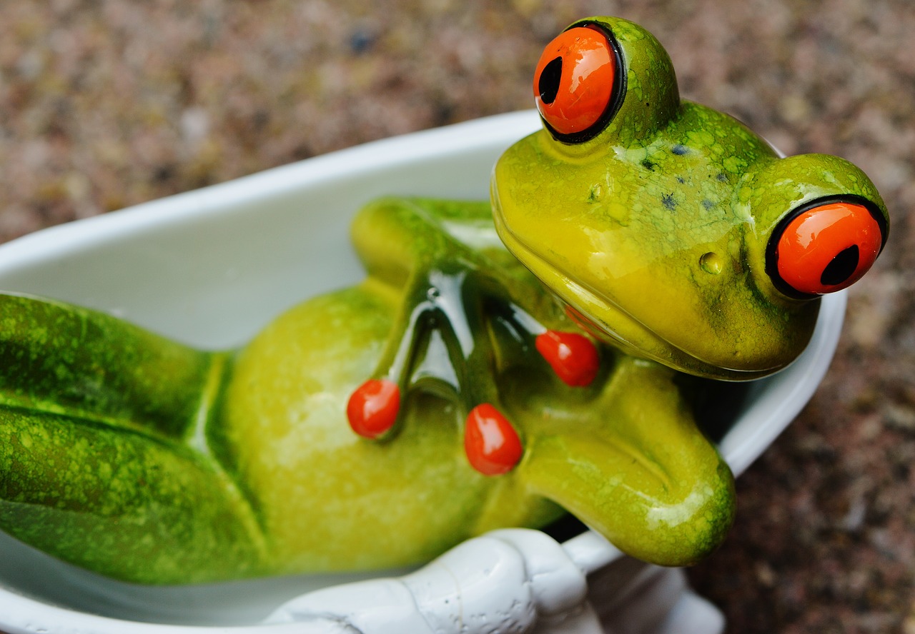 frog funny bath free photo