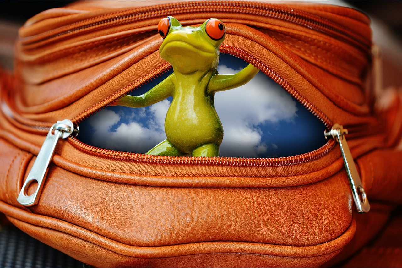 frog bag zip free photo