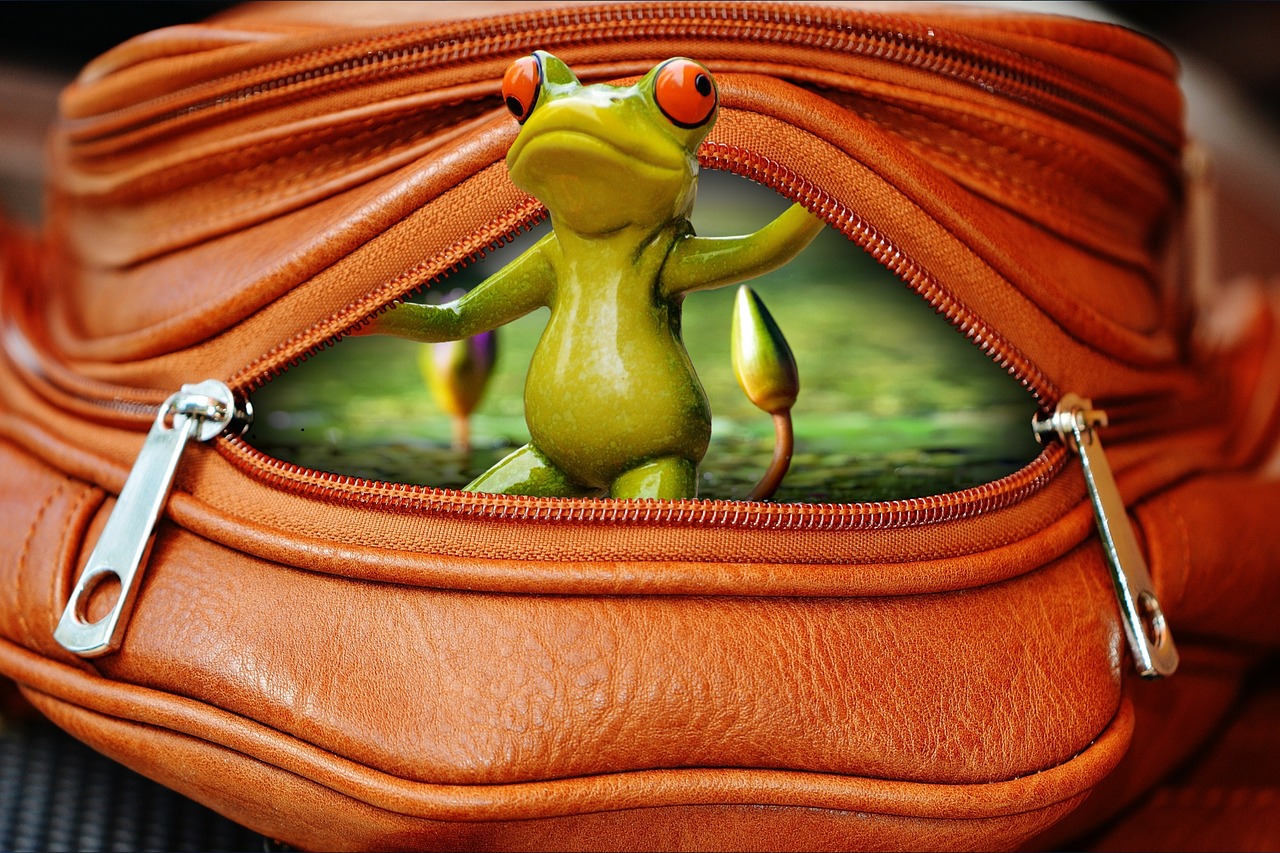 frog bag zip free photo