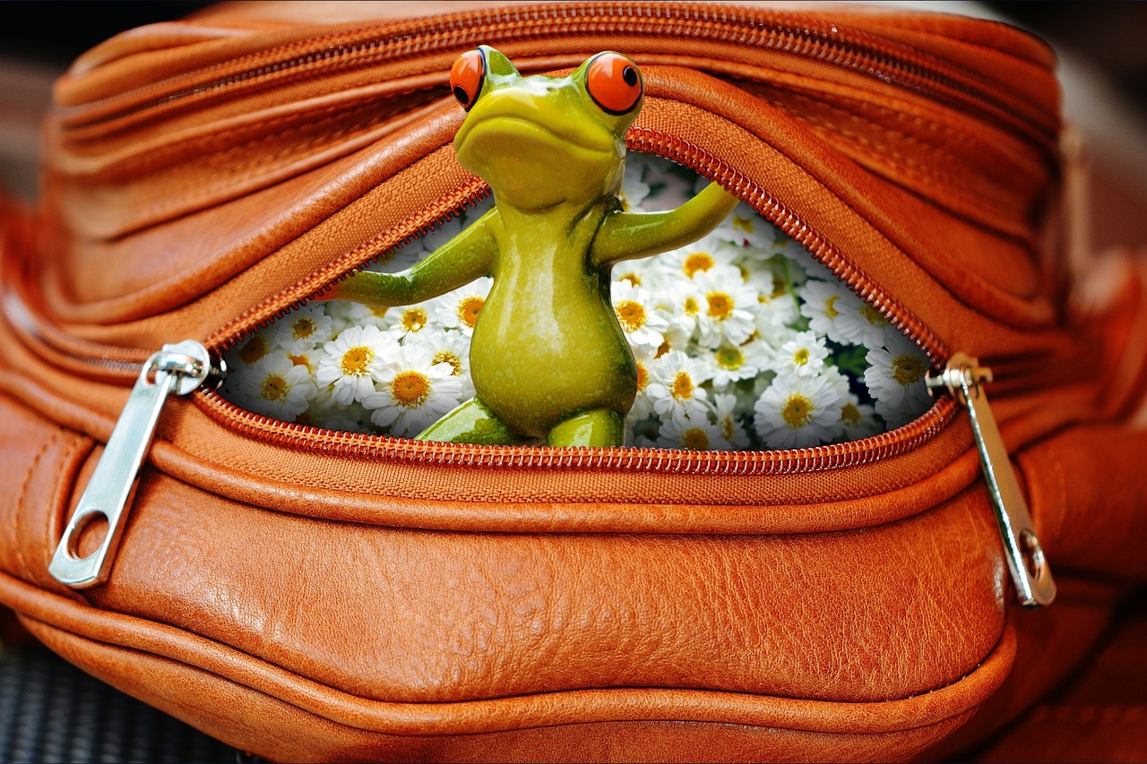 frog bag zip free photo