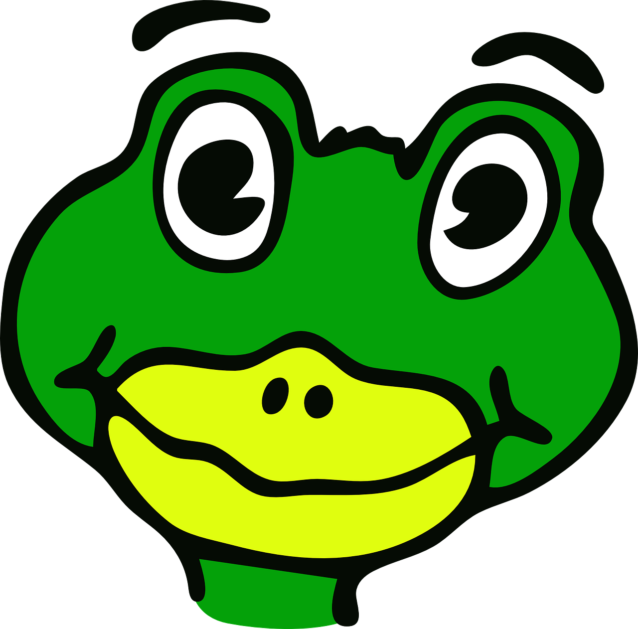 frog funny amphibian free photo