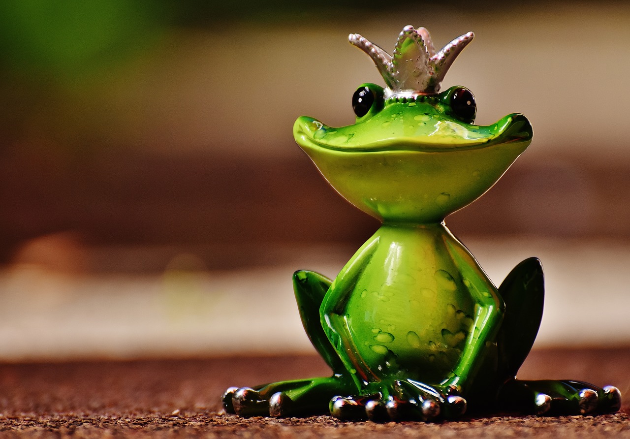 frog frog prince crown free photo