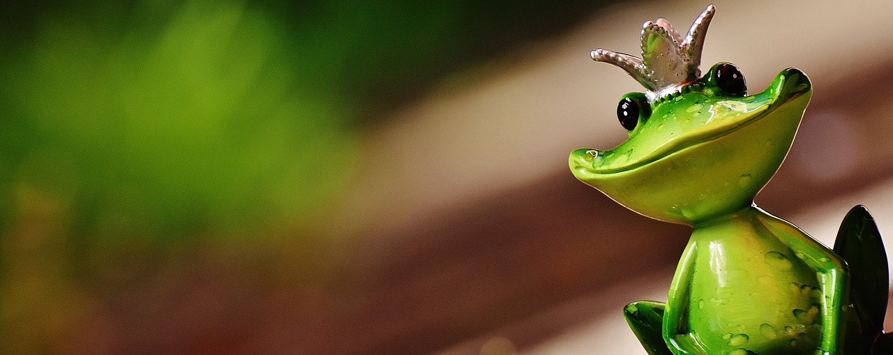 frog frog prince crown free photo