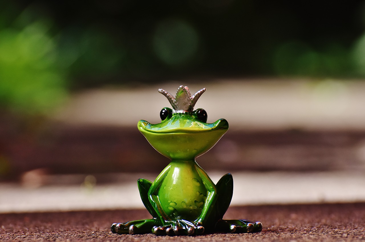 frog frog prince crown free photo