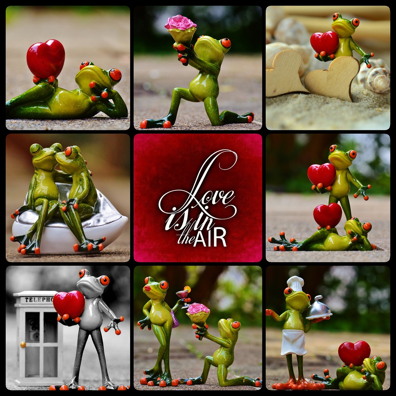 frog love valentine's day free photo