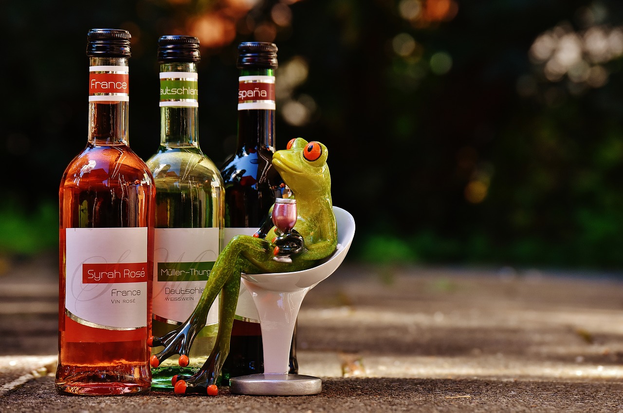 frog wine drink free photo