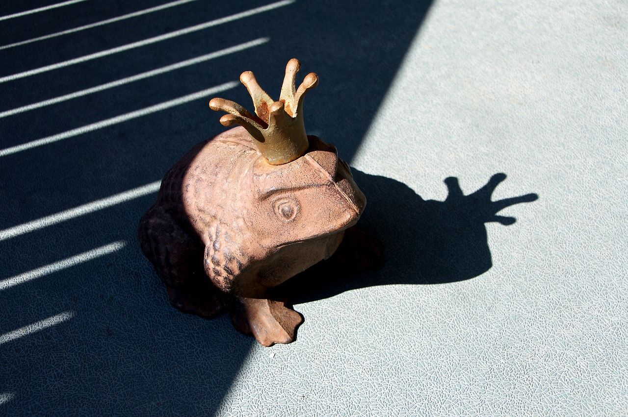 frog shadow crown free photo