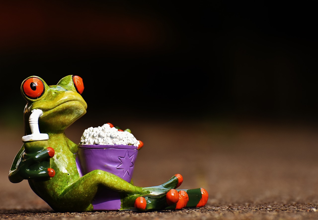 frog cinema popcorn free photo