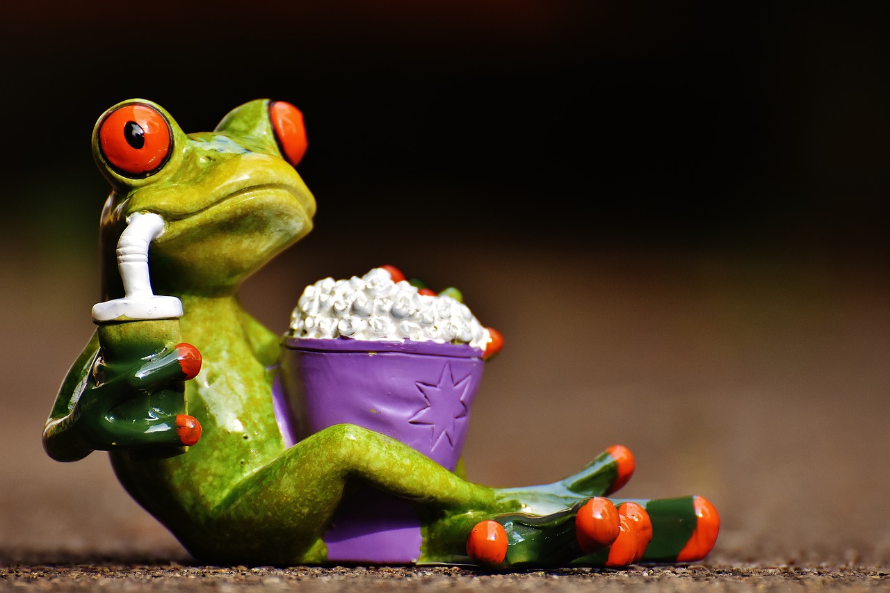 frog cinema popcorn free photo