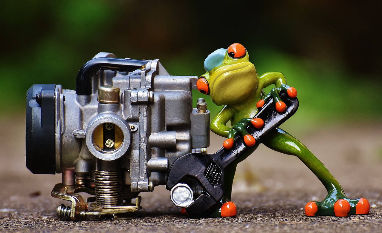 frog mechanic screwdrivers free photo