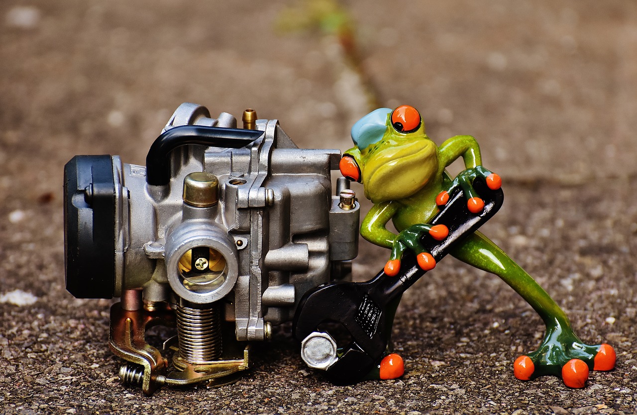 frog mechanic screwdrivers free photo