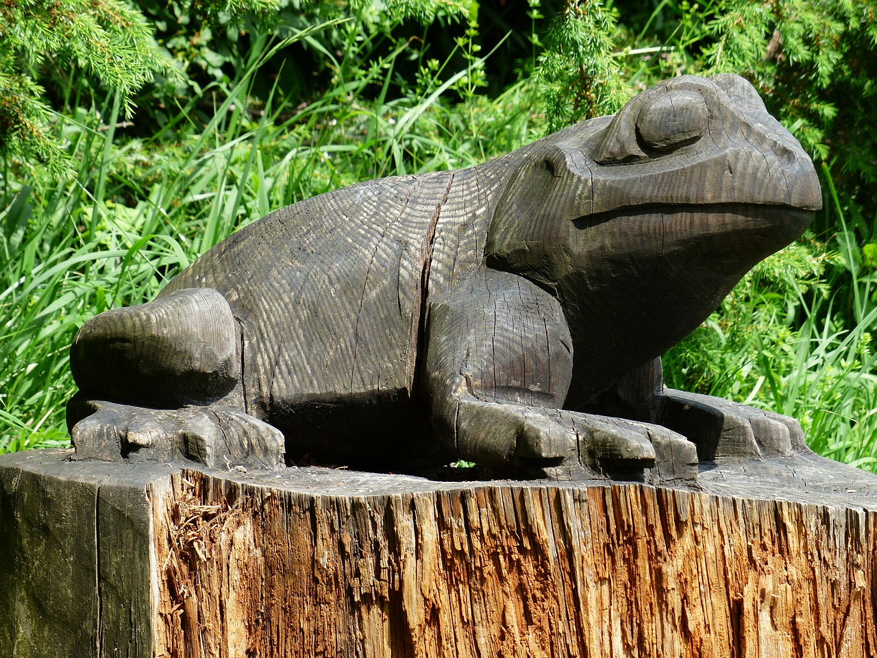 frog wood carving free photo