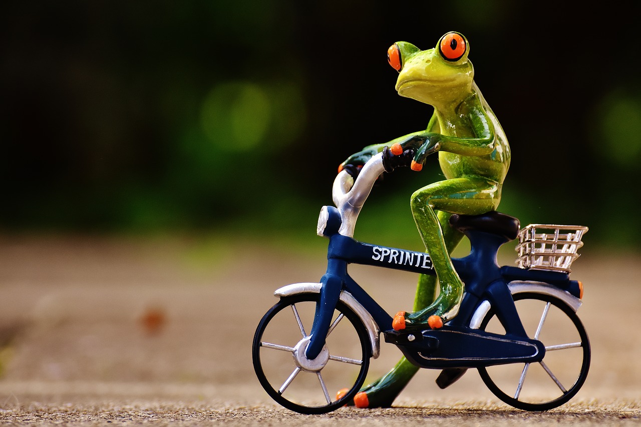 frog bike funny free photo