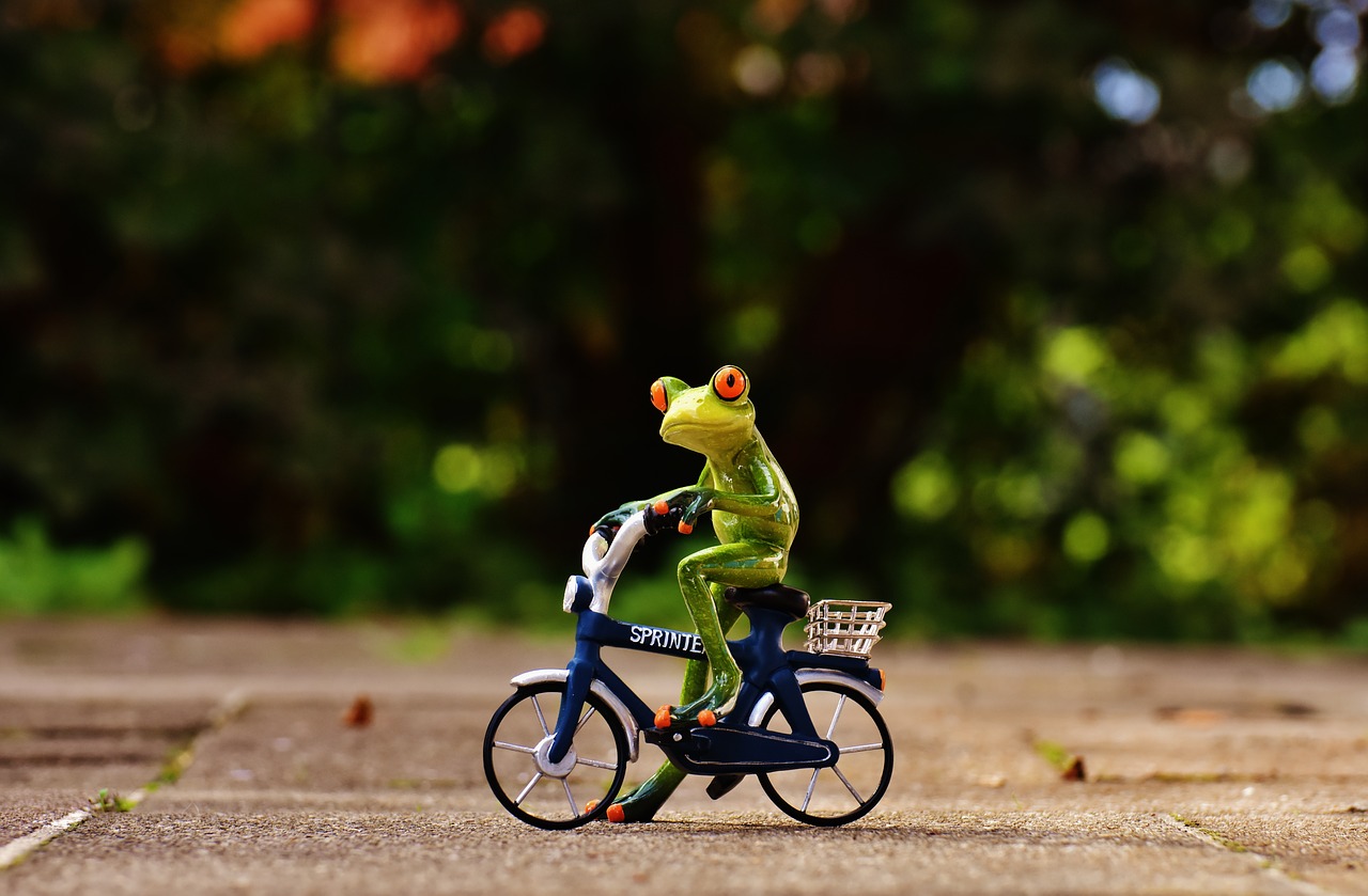 frog bike funny free photo