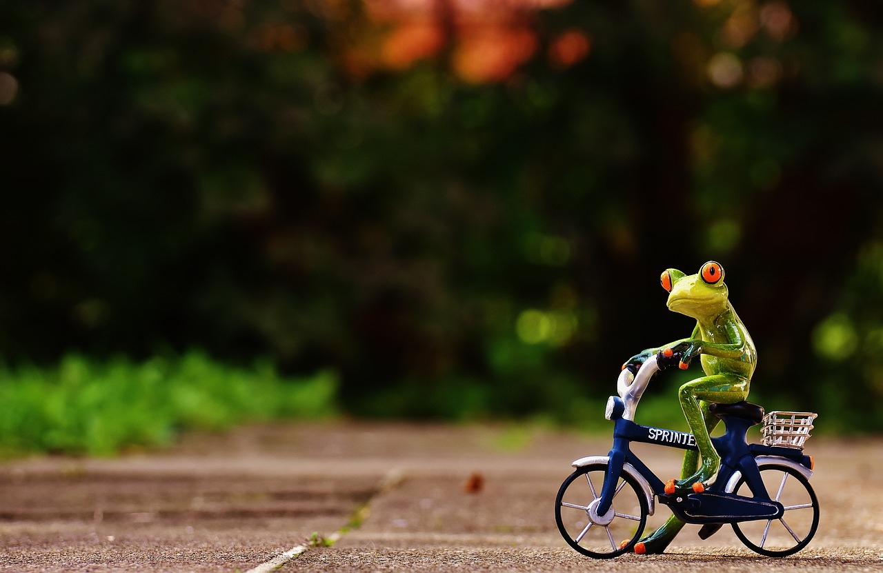 frog bike funny free photo