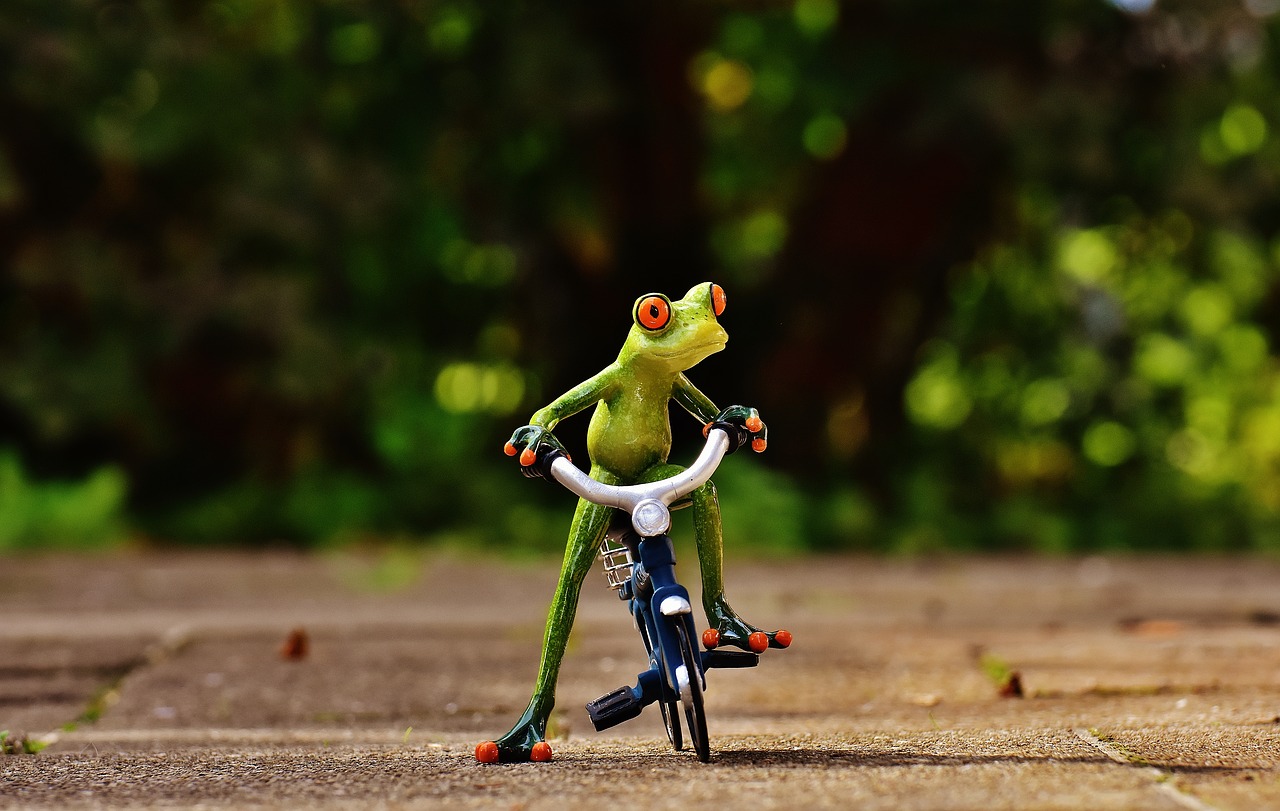frog bike funny free photo
